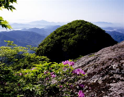 안강의 아름다운 자연을 간직한 명산, 백운산이 펼치는 웅장함과 평온함을 경험하세요!