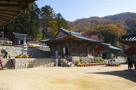  천년고사찰 금강산의 아름다움을 간직한 정원, 보광사 절!