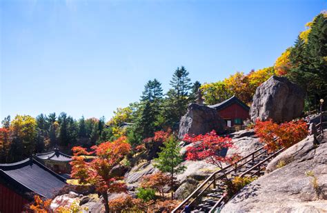  지리산 국립공원: 신비로운 자연과 스릴 넘치는 등반을 경험해보세요!