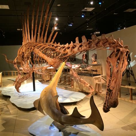 Yingkou Dinosaur Fossil Museum 과거의 거인을 만나러 가세요!